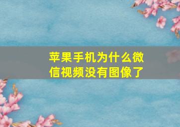 苹果手机为什么微信视频没有图像了