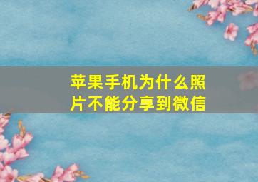 苹果手机为什么照片不能分享到微信