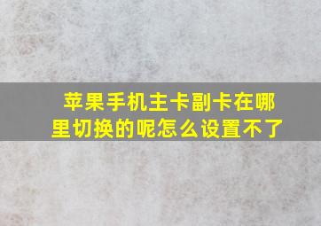 苹果手机主卡副卡在哪里切换的呢怎么设置不了