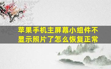 苹果手机主屏幕小组件不显示照片了怎么恢复正常