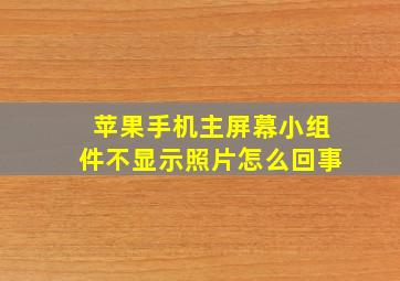 苹果手机主屏幕小组件不显示照片怎么回事