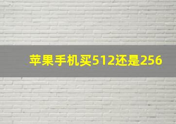 苹果手机买512还是256