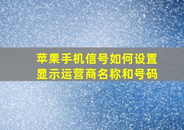 苹果手机信号如何设置显示运营商名称和号码