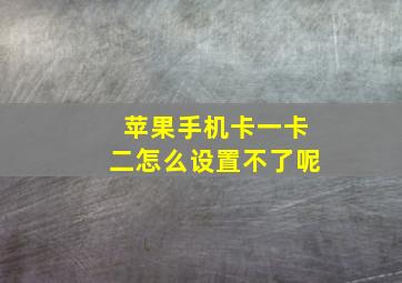 苹果手机卡一卡二怎么设置不了呢