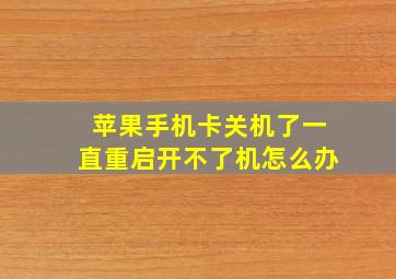 苹果手机卡关机了一直重启开不了机怎么办