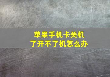 苹果手机卡关机了开不了机怎么办