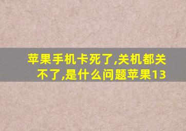 苹果手机卡死了,关机都关不了,是什么问题苹果13