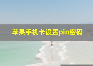 苹果手机卡设置pin密码