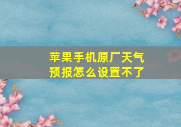 苹果手机原厂天气预报怎么设置不了