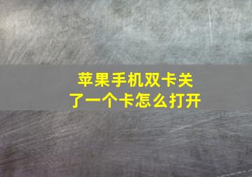 苹果手机双卡关了一个卡怎么打开