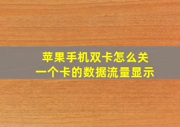 苹果手机双卡怎么关一个卡的数据流量显示