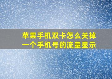 苹果手机双卡怎么关掉一个手机号的流量显示