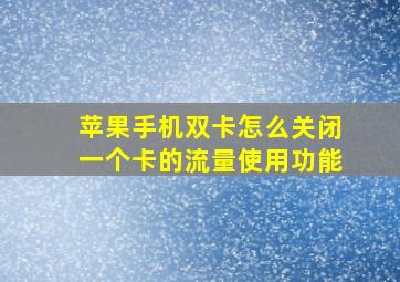 苹果手机双卡怎么关闭一个卡的流量使用功能