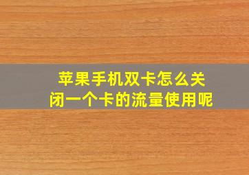 苹果手机双卡怎么关闭一个卡的流量使用呢