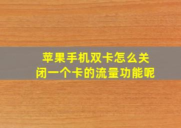 苹果手机双卡怎么关闭一个卡的流量功能呢