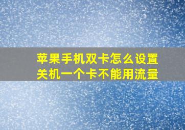 苹果手机双卡怎么设置关机一个卡不能用流量