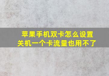 苹果手机双卡怎么设置关机一个卡流量也用不了