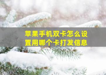 苹果手机双卡怎么设置用哪个卡打发信息