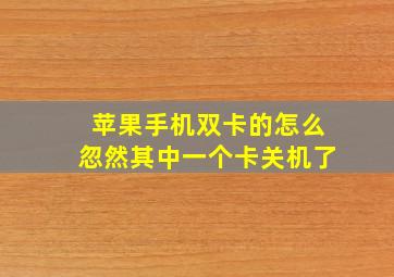 苹果手机双卡的怎么忽然其中一个卡关机了