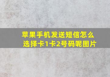 苹果手机发送短信怎么选择卡1卡2号码呢图片