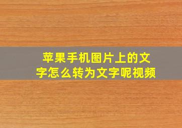 苹果手机图片上的文字怎么转为文字呢视频