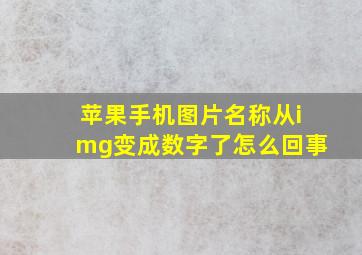 苹果手机图片名称从img变成数字了怎么回事