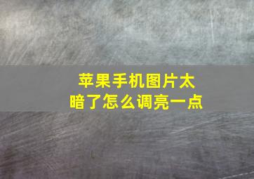 苹果手机图片太暗了怎么调亮一点