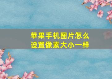 苹果手机图片怎么设置像素大小一样