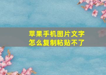 苹果手机图片文字怎么复制粘贴不了