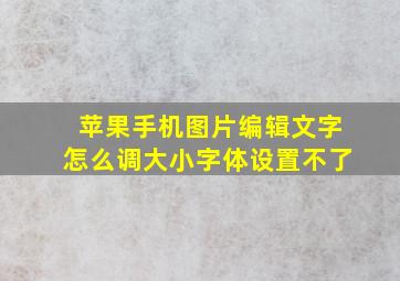 苹果手机图片编辑文字怎么调大小字体设置不了