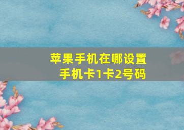 苹果手机在哪设置手机卡1卡2号码