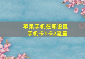 苹果手机在哪设置手机卡1卡2流量