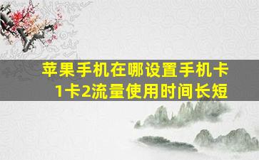 苹果手机在哪设置手机卡1卡2流量使用时间长短