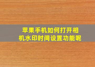 苹果手机如何打开相机水印时间设置功能呢