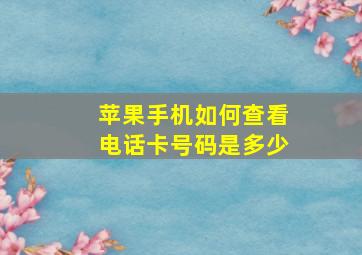 苹果手机如何查看电话卡号码是多少