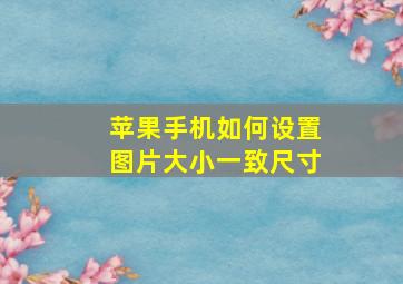 苹果手机如何设置图片大小一致尺寸