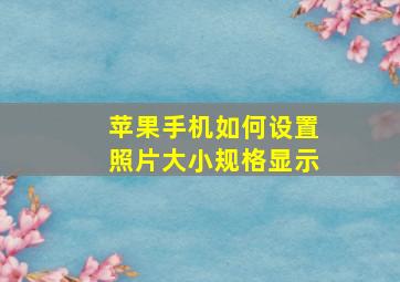 苹果手机如何设置照片大小规格显示