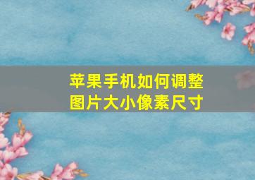 苹果手机如何调整图片大小像素尺寸