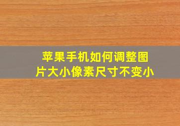 苹果手机如何调整图片大小像素尺寸不变小