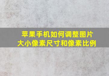 苹果手机如何调整图片大小像素尺寸和像素比例