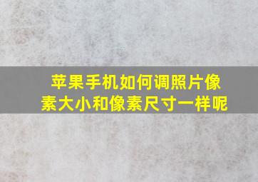 苹果手机如何调照片像素大小和像素尺寸一样呢