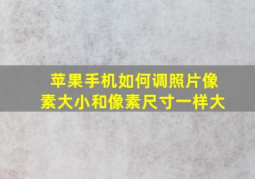 苹果手机如何调照片像素大小和像素尺寸一样大