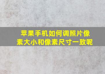 苹果手机如何调照片像素大小和像素尺寸一致呢