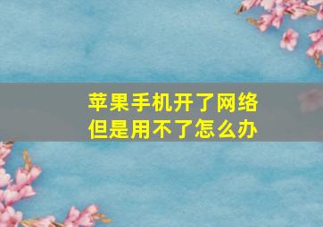 苹果手机开了网络但是用不了怎么办