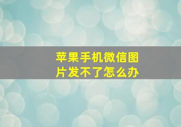 苹果手机微信图片发不了怎么办