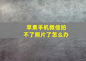 苹果手机微信拍不了照片了怎么办