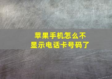 苹果手机怎么不显示电话卡号码了