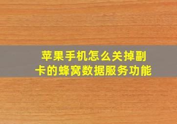 苹果手机怎么关掉副卡的蜂窝数据服务功能