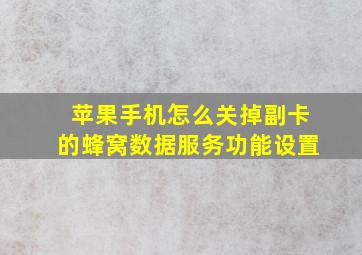 苹果手机怎么关掉副卡的蜂窝数据服务功能设置