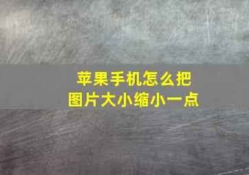 苹果手机怎么把图片大小缩小一点